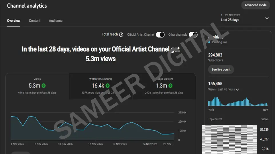 YouTube Project 1